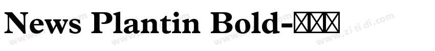 News Plantin Bold字体转换